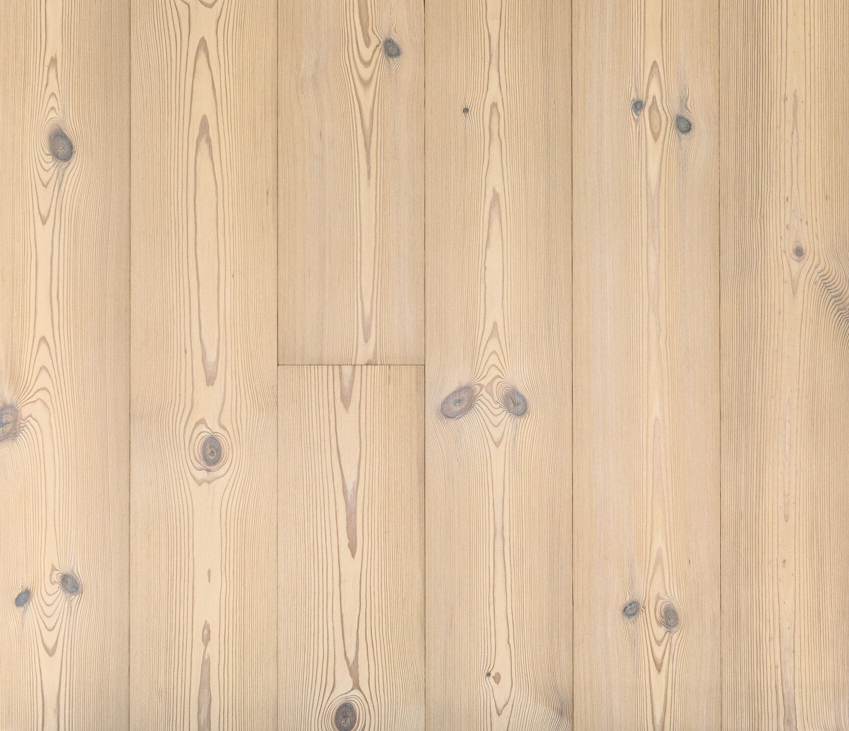 Terra Pine Cavalese