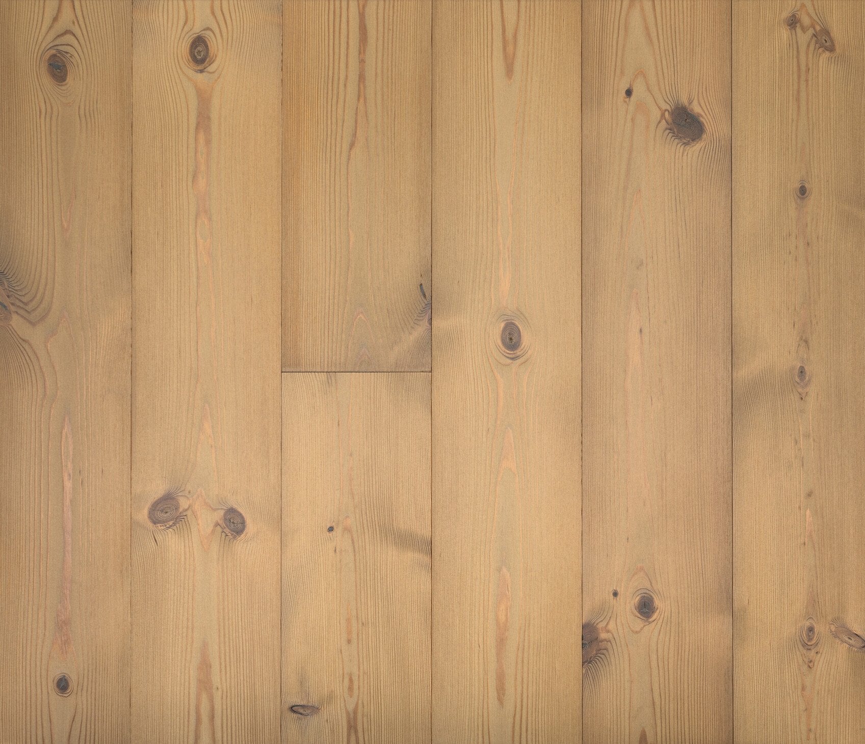 Terra Pine Rovereto